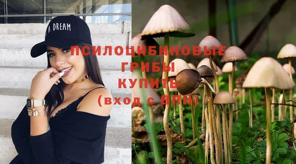 таблы Михайлов